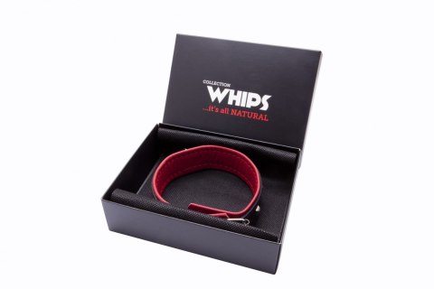 WHIPS Skórzana Obroża z Ćwiekami - Zmysłowa Moc WHIPS Skórzana Obroża z Ćwiekami - Zmysłowa Moc