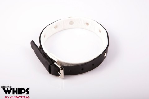 WHIPS Biała Obroża Średnia - Zmysłowa Elegancja BDSM WHIPS Biała Obroża Średnia - Zmysłowa Elegancja BDSM