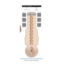 Masturbator Fleshjack Boys Griffin Barrows Cake - Intensywne Doznania